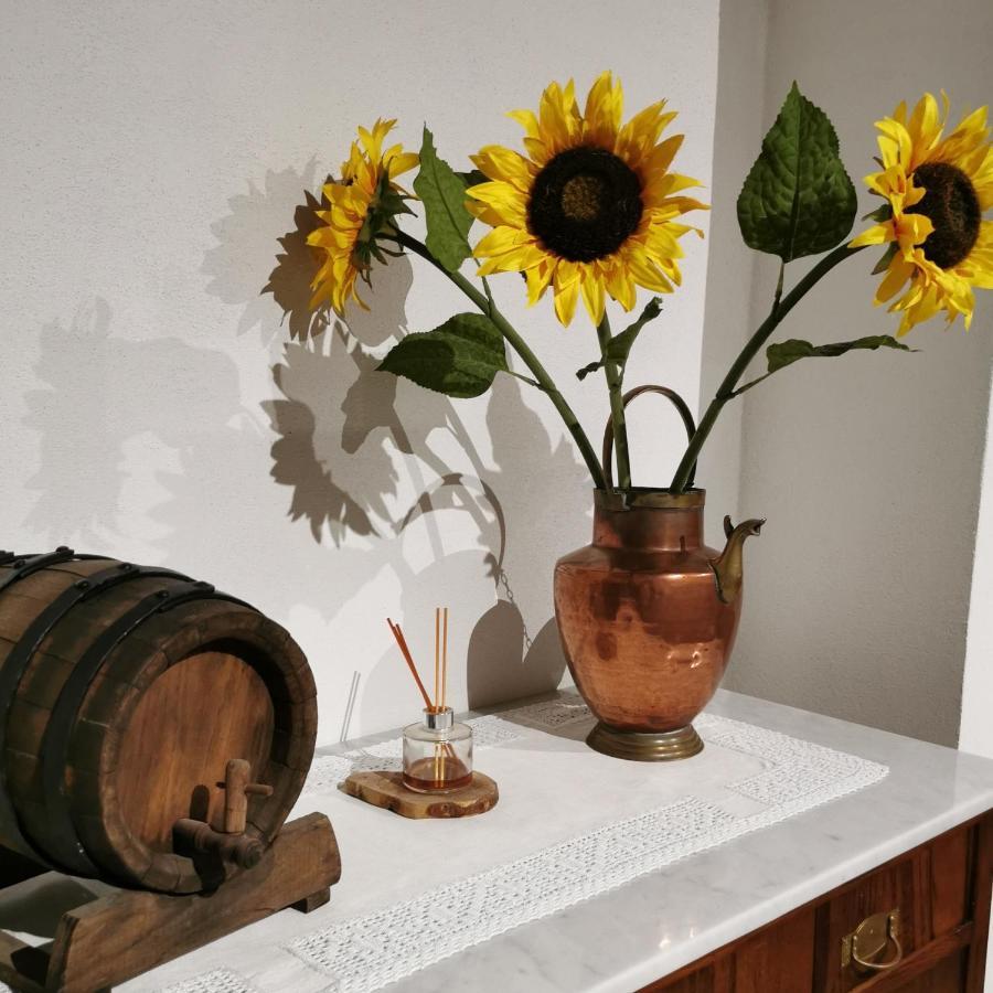 Otello Guest House Montalcino Buitenkant foto